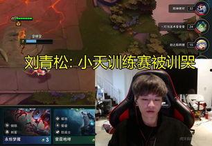 刘青松直播爆料视频播放,视频播放背后的惊人真相
